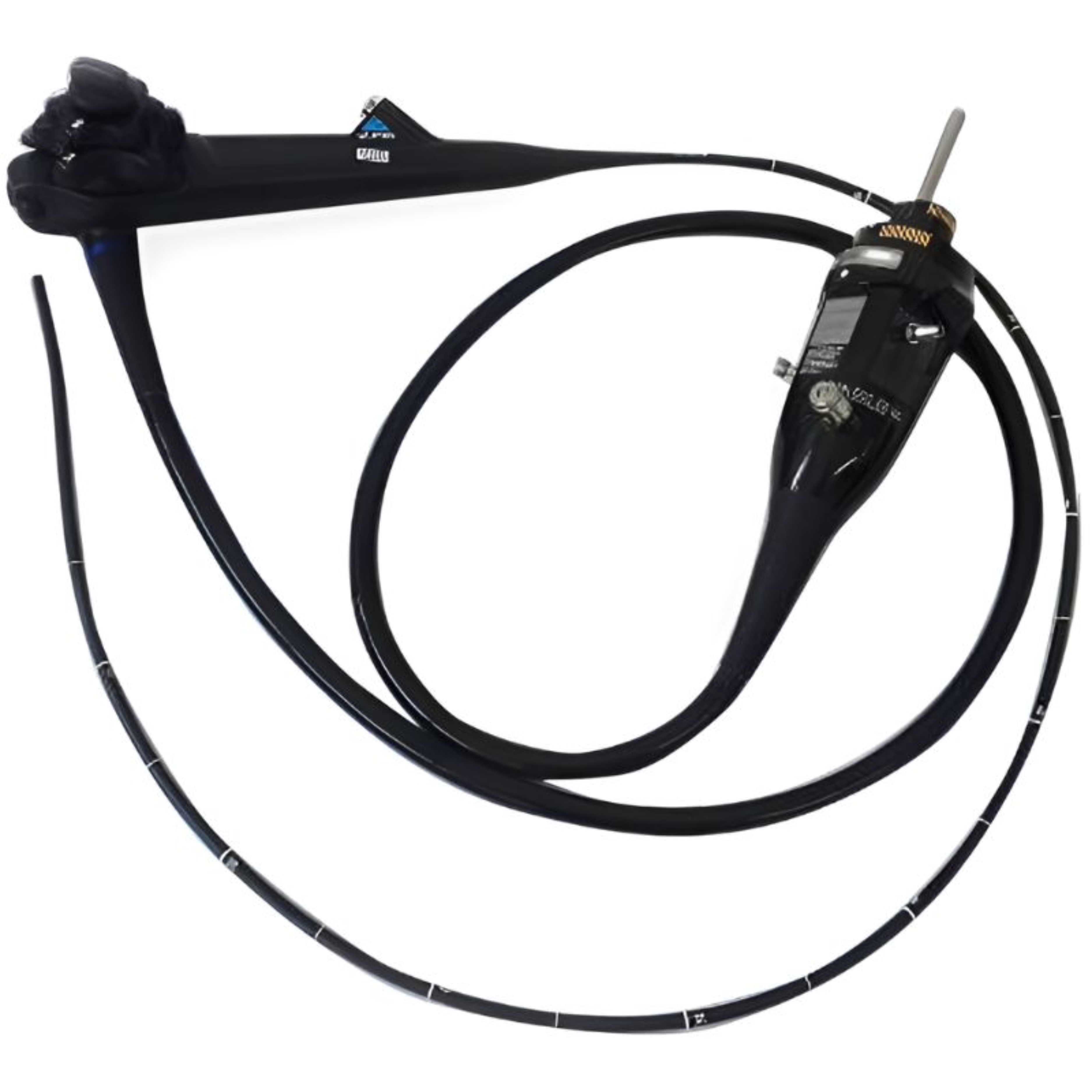 Olympus GIF-XP190N ultra slim HDTV video gastroscope featuring Narrow Band Imaging, enhanced illumination, and transnasal endoscopy compatibility for upper GI procedures.